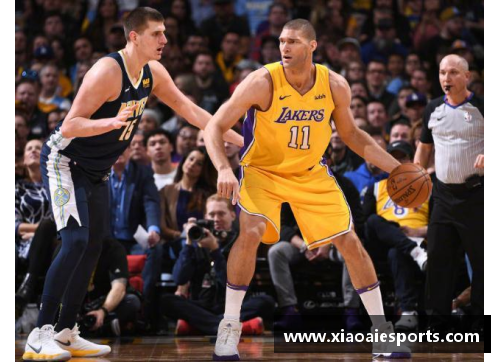 NBA单赛季盖帽王：记录超越篮球边界