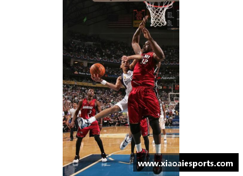 小牛与热火激战回放：NBA精彩对决全程录像