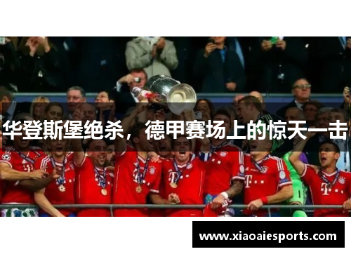华登斯堡绝杀，德甲赛场上的惊天一击