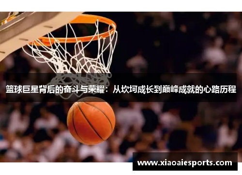 篮球巨星背后的奋斗与荣耀：从坎坷成长到巅峰成就的心路历程