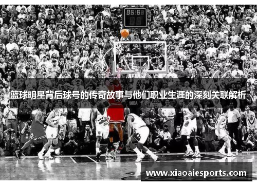 篮球明星背后球号的传奇故事与他们职业生涯的深刻关联解析