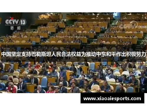 中国坚定支持巴勒斯坦人民合法权益为推动中东和平作出积极努力